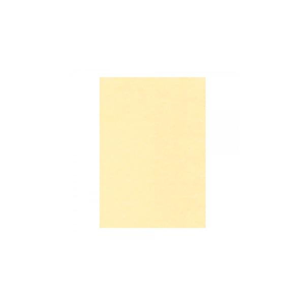 PAPEL PERGAMINO BUHO 70X100 90GR