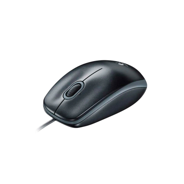 KIT TECLADO Y MOUSE LOGITECH (MODELO MK120)-VISTA-2